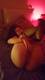 Foto privada de LOVELYGINA90
