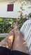 Foto privada de violetta_bambola