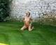 Foto privada de sabrina75