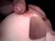 Foto privada de SinfulRegina