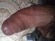 Foto privada de Scooby_Doo
